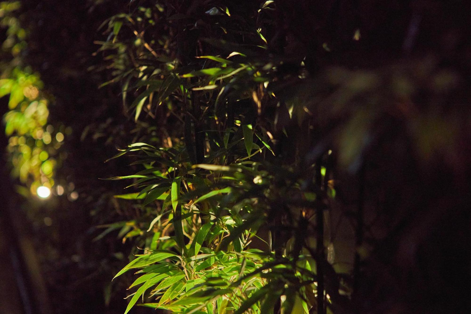 Sake Kura Hotel 川崎宿 (Adults Only) Exteriér fotografie